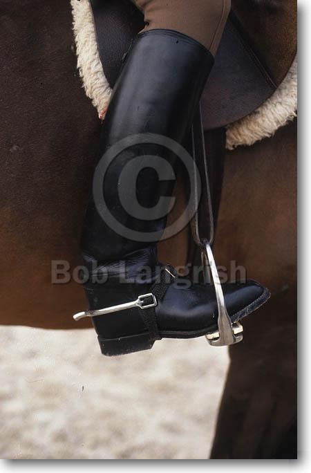 Bob Langrish Equestrian Photographer: Images